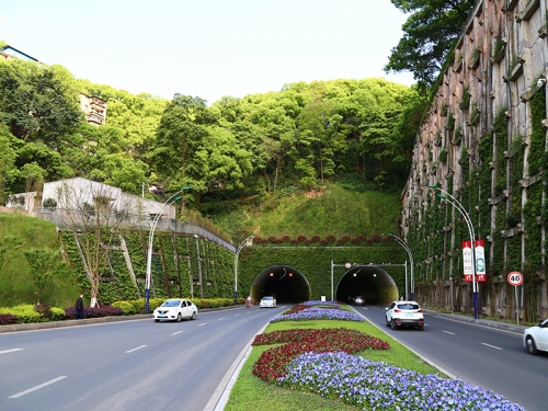 六盤水忠山隧道綠化工程